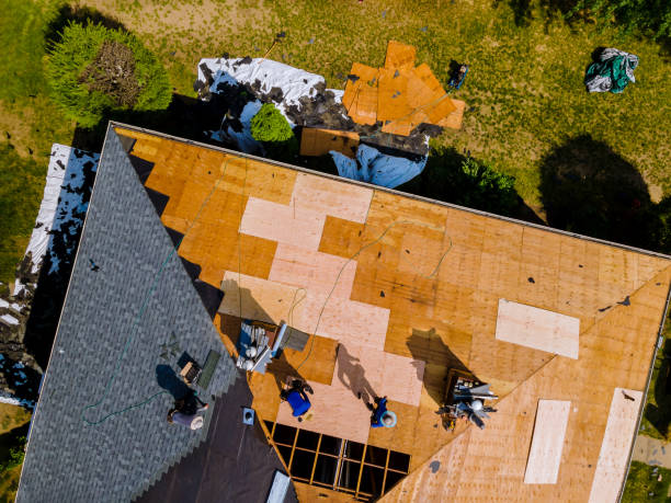 Best Flat Roof Repair Services  in Custer, SD